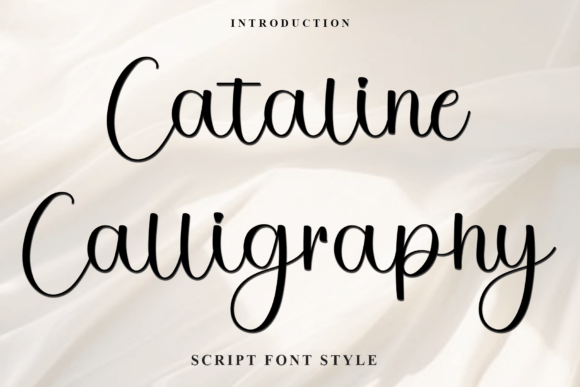 Cataline Calligraphy: A Festive Typeface for Marketers