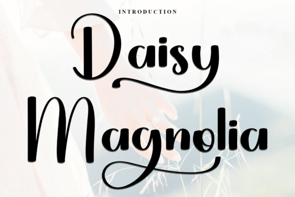 Daisy Magnolia: A Script Font for Clear Campaigns