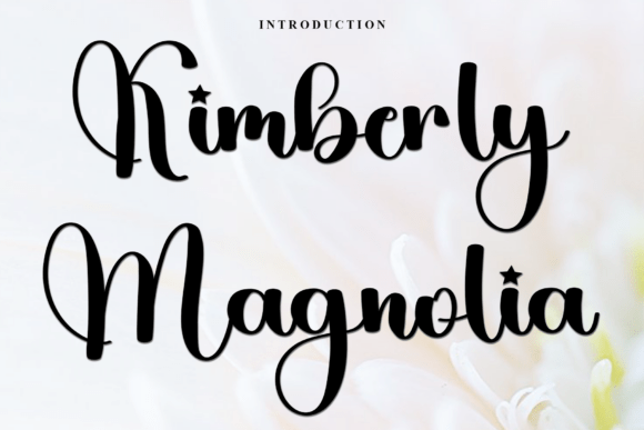 Kimberly Magnolia: A Designer’s Honest Review